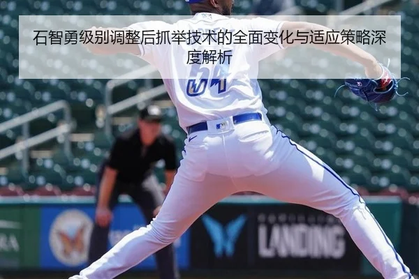 shi-zhi-yong-ji-bie-tiao-zheng-hou-zhua-ju-ji-shu-de-quan-mian-bian-hua-yu-shi-ying-ce-lve-shen-du-jie-xi-2-299.jpg
